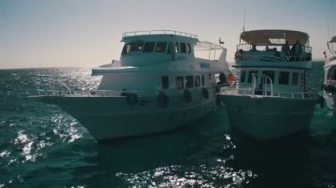 Turistler dalış tekneler resif Sina Yarımadası, Mısır, Red Sea'deki/daki oteller