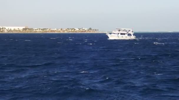 Pleasure Boat Floats on the Waves of the Red Sea on the Background of Coast and Beaches in Egypt — Stock Video