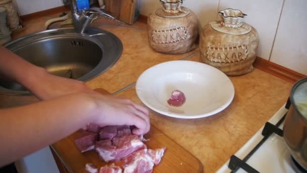 Femme Chef jette de la viande tranchée dans un bol sur la Home Kitchen. Mouvement lent — Video