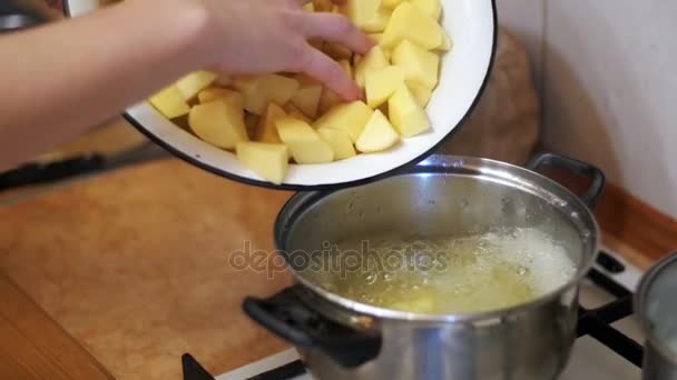 Vrouw Chef gooit gesneden aardappelen in een Pot aan de kook de binnenlandse keuken. Traag Moition — Stockvideo