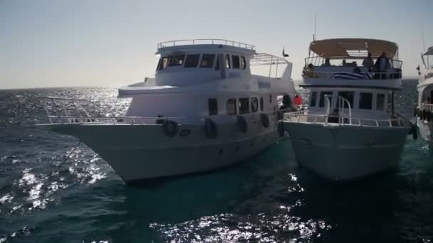 Дайвинг лодки с туристами рядом с рифом в Красном море, на Синайском полуострове, Египет — стоковое видео