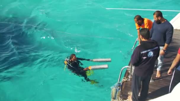 Δύτης στην Ερυθρά θάλασσα είναι προετοιμασία για κατάδυση υφάλου και κολυμπώντας στο νερό, Αίγυπτος. — Αρχείο Βίντεο