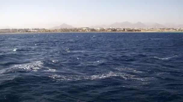 Gita in barca sul piacere Barca nel Mar Rosso con vista sulla costa Penisola del Sinai, Egitto — Video Stock