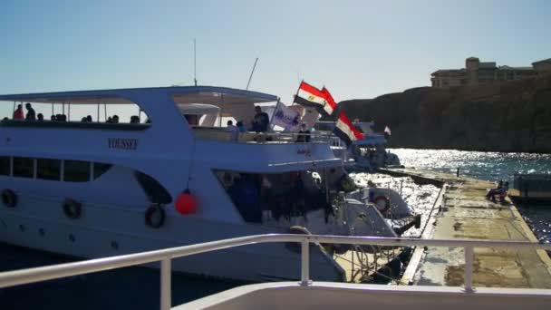 Navires d'excursion dans la mer Rouge avec les touristes à la jetée, Egypte — Video