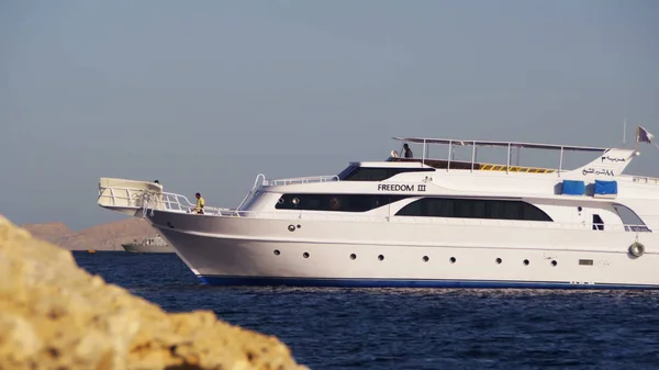 Gemi yüzer Red Sea'deki/daki cruise