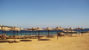 Mısır, şemsiye, şezlong Kızıldeniz ile boş Sunny Beach