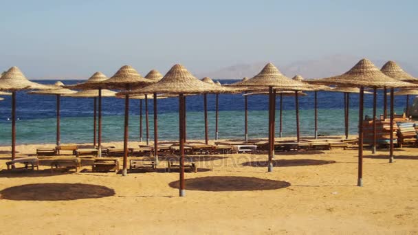 Ägypten, leerer Sonnenstrand mit Sonnenschirmen, Liegestühle am Roten Meer — Stockvideo