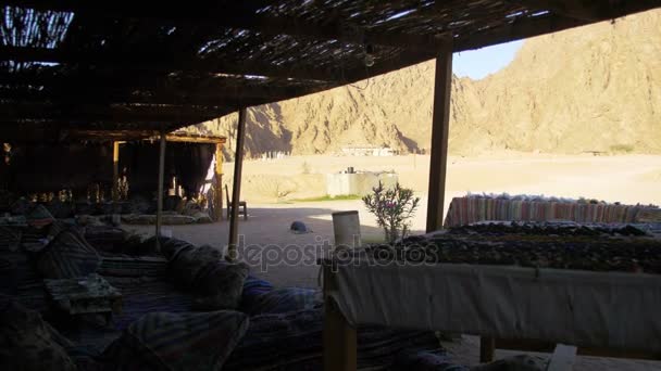 Beduin település az egyiptomi sivatagban — Stock videók