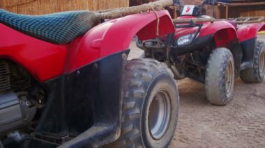 Turist dörtlü Bisiklet Mısır çöl Safari gezisi için