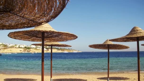 Єгипет, порожні сонячний пляж з парасольками, лежаками на узбережжі Червоного моря — стокове відео