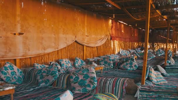 Beduin település az egyiptomi sivatagban — Stock videók