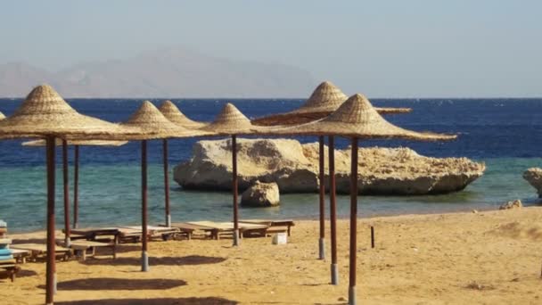 Egypte, lege zonnige strand met parasols, ligbedden op de rode zee — Stockvideo