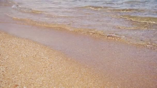 Egypt, Red Sea, Gold Sand Beach with Crystal Clear Water Soft Waves in Slow Motion — Stock Video