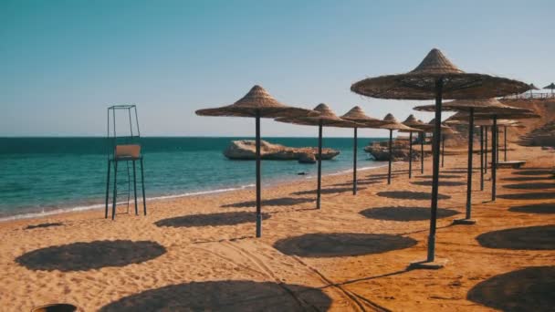Egipt, pusty słonecznej plaży z parasolami, leżakami nad Morzem Czerwonym — Wideo stockowe