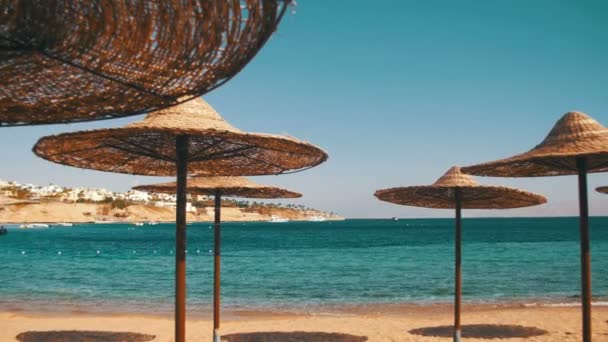 Egypte, lege zonnige strand met parasols, ligbedden op de rode zee — Stockvideo