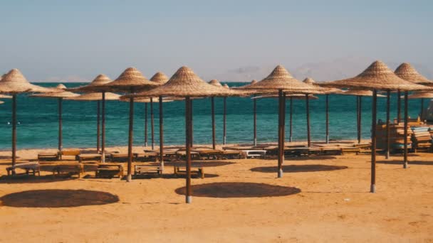 Ägypten, leerer Sonnenstrand mit Sonnenschirmen, Liegestühle am Roten Meer — Stockvideo