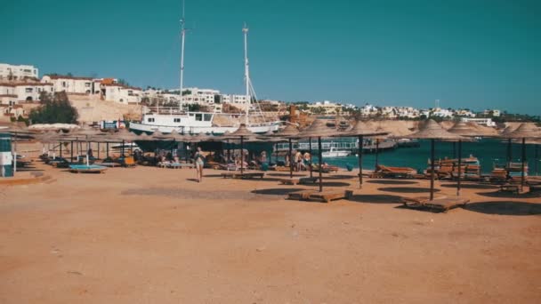 Egyiptom, üres Sunny Beach a napernyők, napozóágyak, a Vörös-tenger — Stock videók