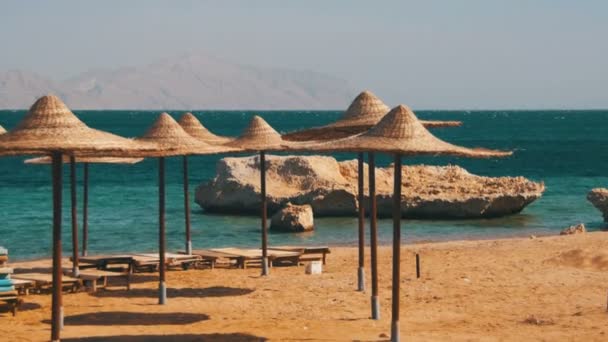 Egito, praia ensolarada vazia com guarda-chuvas, espreguiçadeiras no Mar Vermelho — Vídeo de Stock