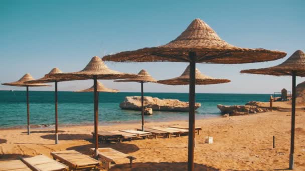 Ägypten, leerer Sonnenstrand mit Sonnenschirmen, Liegestühle am Roten Meer — Stockvideo
