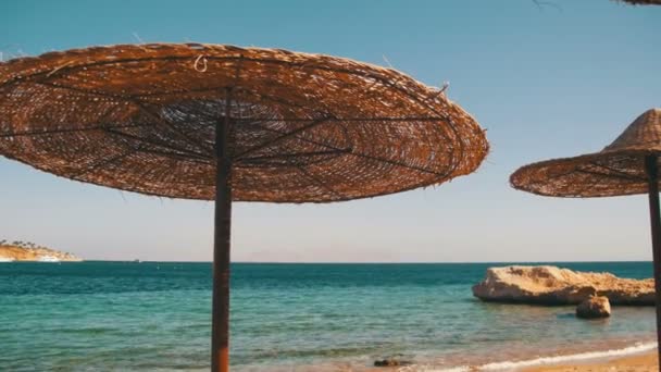 Egypte, lege zonnige strand met parasols, ligbedden op de rode zee — Stockvideo