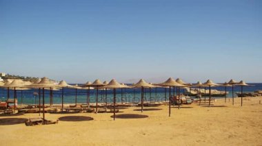 Mısır, şemsiye, şezlong Kızıldeniz ile boş Sunny Beach