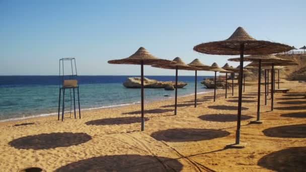 Єгипет, порожні сонячний пляж з парасольками, лежаками на узбережжі Червоного моря — стокове відео