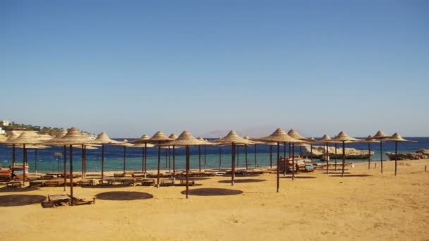 Αίγυπτος, άδειο ηλιόλουστη παραλία με ομπρέλες, ξαπλώστρες στην Ερυθρά θάλασσα — Αρχείο Βίντεο