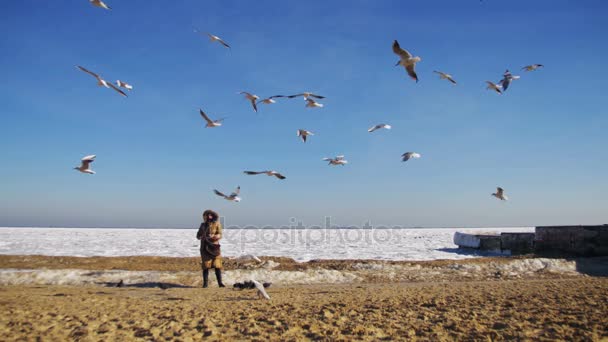 Vrouw voedt de hongerige meeuwen vliegen over de bevroren ijs bedekte zee — Stockvideo