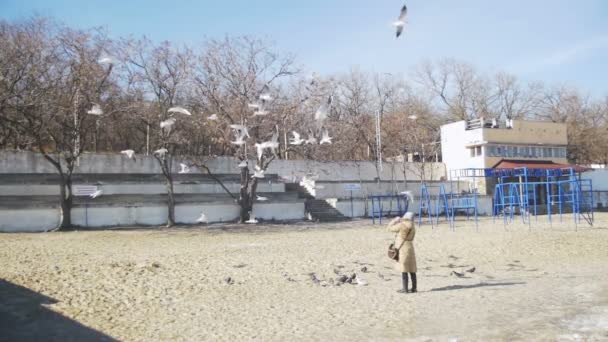 Woman Feeds the Hungry Seagulls Flying over the Winter Sea Beach. Slow Motion — Stock Video