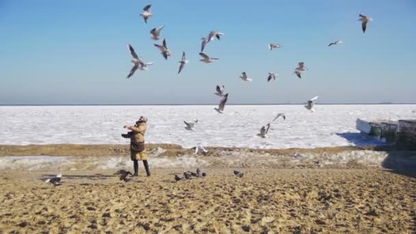 女性は、凍った氷に覆われた海の上を飛んで空腹カモメをフィードします。スローモーション — ストック動画