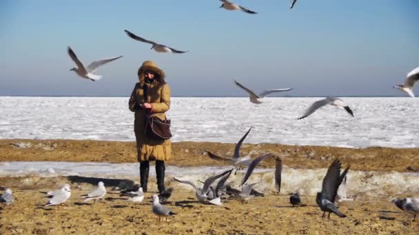 Kadın donmuş buz kaplı deniz üzerinde uçan aç martılar beslenir. Ağır çekim — Stok video