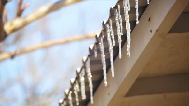 Ciclos de inverno derretendo no telhado sob o sol de primavera e gotejando de suas pontas. Movimento lento — Vídeo de Stock