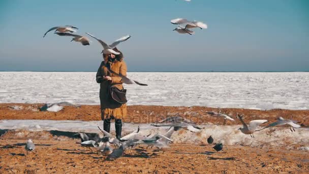 Woman Feeds the Hungry Seagulls Flying over the Frozen Ice-Covered Sea (en inglés). Moción lenta — Vídeos de Stock