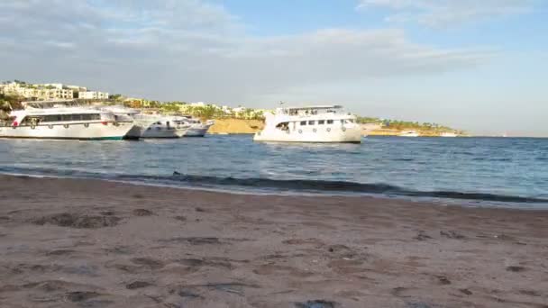 Катери для прогулянок прибути до пристані на пляжі в Єгипті. Уповільнена зйомка — стокове відео
