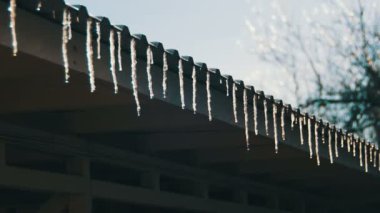 Kış buz sarkıtları erime altında bahar çatı güneş üzerinde ve onların ipuçları damlayan