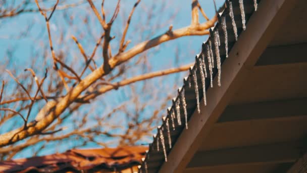 Ciclos de inverno derretendo no telhado sob o sol da primavera e gotejando de suas pontas — Vídeo de Stock