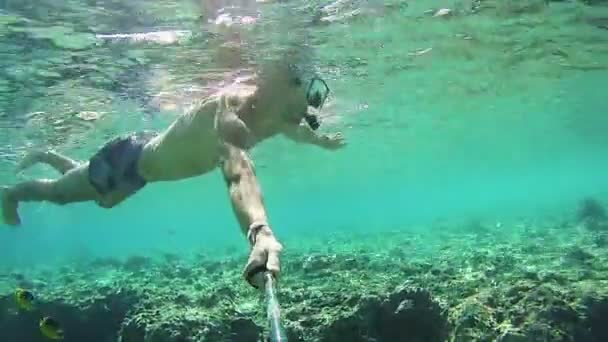 Giovane uomo che fa snorkeling sulla colorata barriera corallina nel Mar Rosso, Egitto — Video Stock