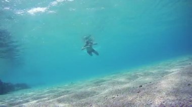 Şnorkel ve çerçeve, Red Sea, Mısır'daki sualtı görünümü aracılığıyla yüzen serbest dalış genç adam