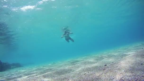 若い男無料ダイビング シュノーケ リング、フレーム、紅海、エジプトで水中ビューを介して浮かんで — ストック動画