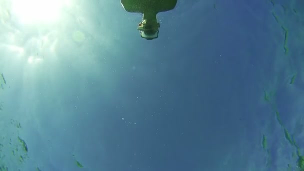 Hombre joven buceando y flotando a través del marco, vista submarina en el Mar Rojo, Egipto — Vídeos de Stock