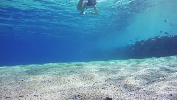 Молодой человек бесплатно ныряет с маской и плавает через рамку, подводный вид в Красном море, Египет — стоковое видео