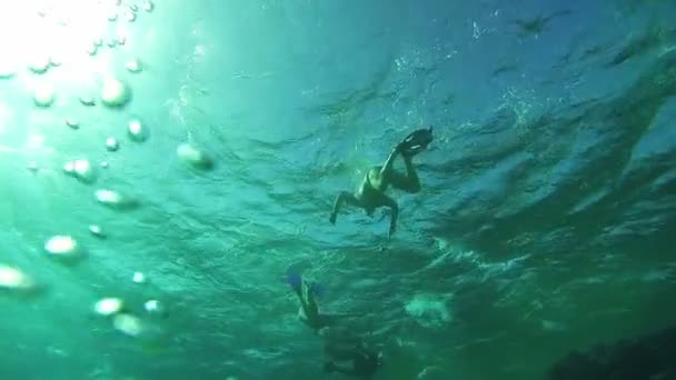 Gente buceando bajo el agua en el Mar Rojo, Egipto — Vídeos de Stock