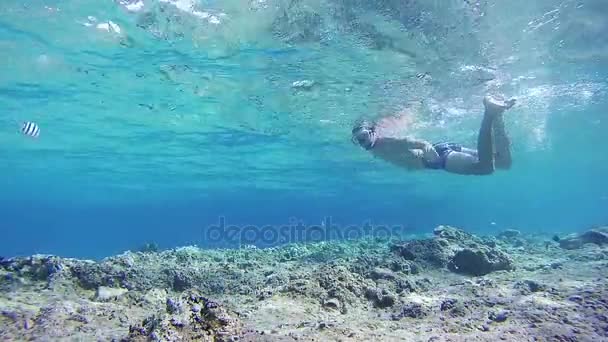 Ung Man snorkling på färgglada rev i Röda havet, Egypten — Stockvideo