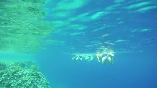 Persone che fanno snorkeling sott'acqua nel Mar Rosso, Egitto — Video Stock