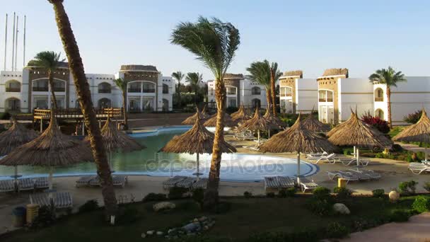 Słoneczny ośrodek z basenem niebieski, palmami i leżakami w Egipcie. Upływ czasu — Wideo stockowe