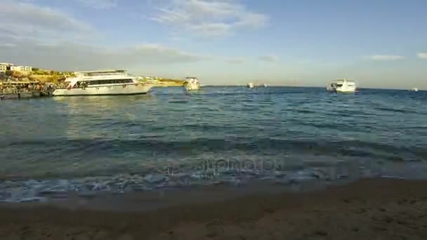 Barcos de placer Llegar al muelle en la playa en Egipto. Tiempo de caducidad — Vídeo de stock