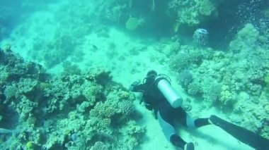 Scuba dalgıç su altında. Red Sea, Mısır.