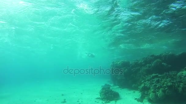 Mergulho perto de recifes de coral no Mar Vermelho, Egito — Vídeo de Stock