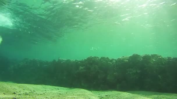 Young Man Snorkeling and Floating Through the Frame, Underwater View in Red Sea, Egypt — Stock Video