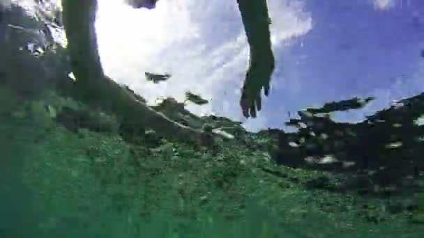 Mujer joven haciendo snorkel en el colorido arrecife del Mar Rojo, Egipto — Vídeo de stock